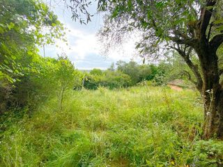  Terrain � vendre 900 m�