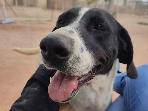 PILI et MILI 640 27620 Gasny