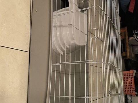 Cage cochon dinde 120cm 70 85400 Luon