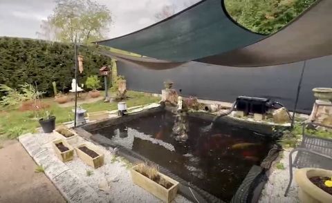Carpes Ko&iuml; + mat&eacute;riel de bassin complet  Prix en baisse &agrave;  d&eacute;battre 1800 57450 Farschviller