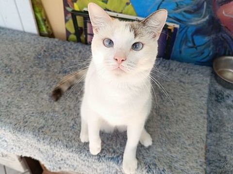 Lily Rose, j'ai tellement envie de vous conna&icirc;tre 280 56000 Vannes