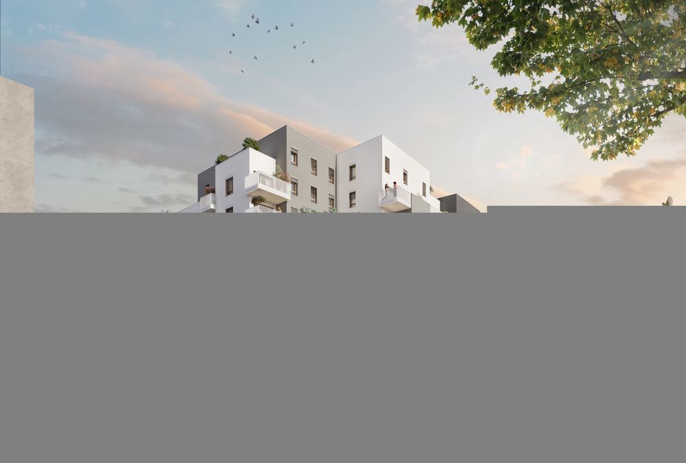   Villeurbanne (69100)