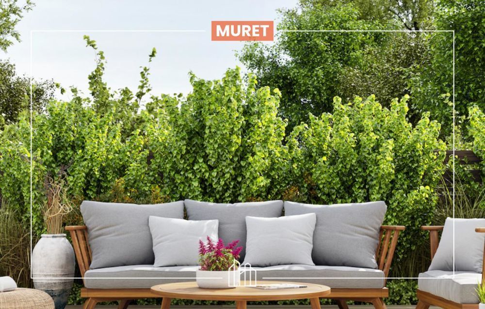 Appartements neufs   Muret (31600)