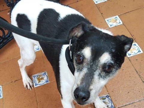 PEPE 320 27620 Gasny