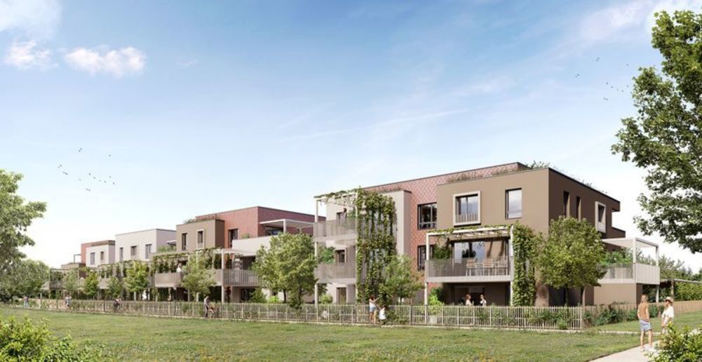 Appartements neufs   Mittelhausbergen (67206)