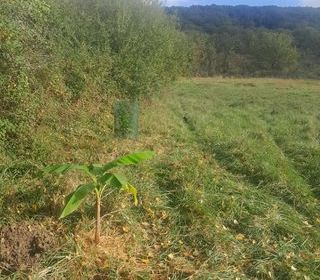  Terrain � vendre 6300 m�