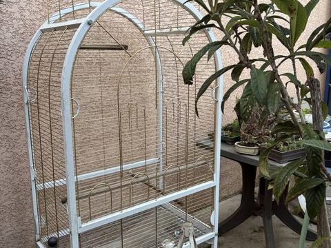 Cage perroquet 70 31270 Cugnaux