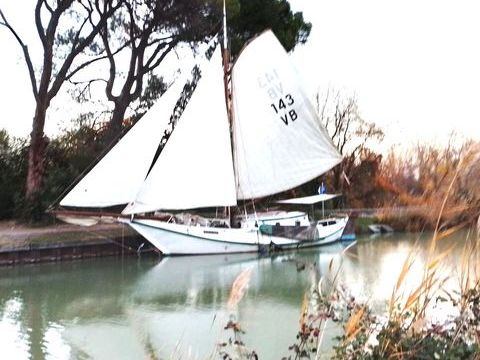 Voiliers Monocoque 1977 occasion Sall&egrave;les-d'Aude 11590
