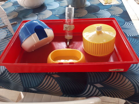 cage pour rongeurs, hamsters, cochons d'Inde 30 30670 Aigues-vives