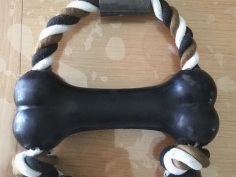 Jouet os RIGA 5 62137 Coulogne