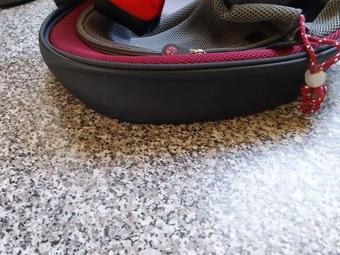  Sac de transport pour chien neuf  pas plus  de 2k600 10 49370 Saint-clment-de-la-place