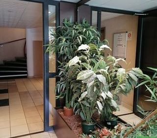  Appartement � louer 3 pi�ces 64 m�