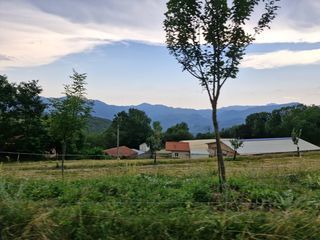  Propri�t�/ch�teau � vendre 5 pi�ces 540000 m�