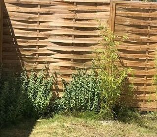  Maison � louer 5 pi�ces 90 m� B�thune