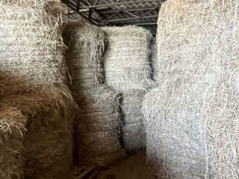 Boule en 20 47440 Casseneuil