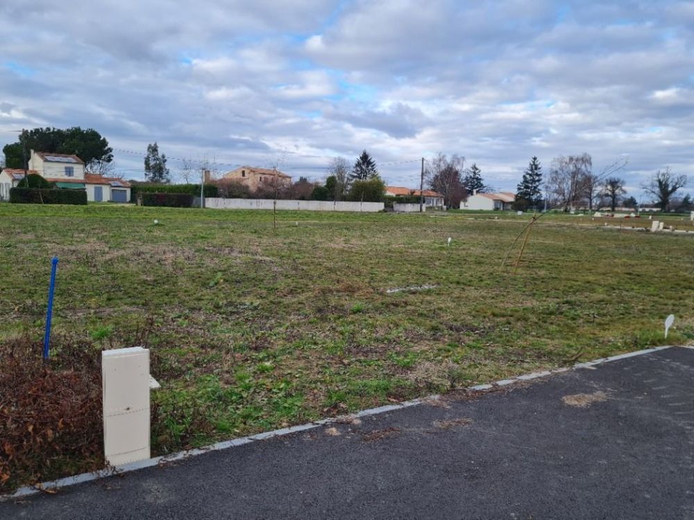 Maisons neuves   Pisany (17600)