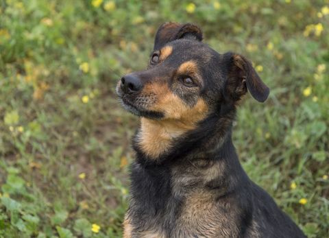 NOTA 300 95610 �ragny