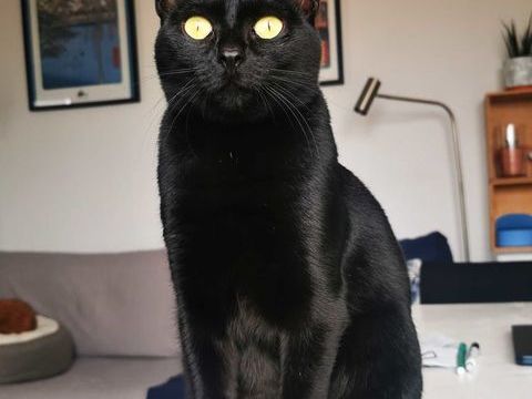 Night 200 44000 Nantes