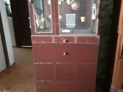 2cage oiseaux 150 47370 Bourlens