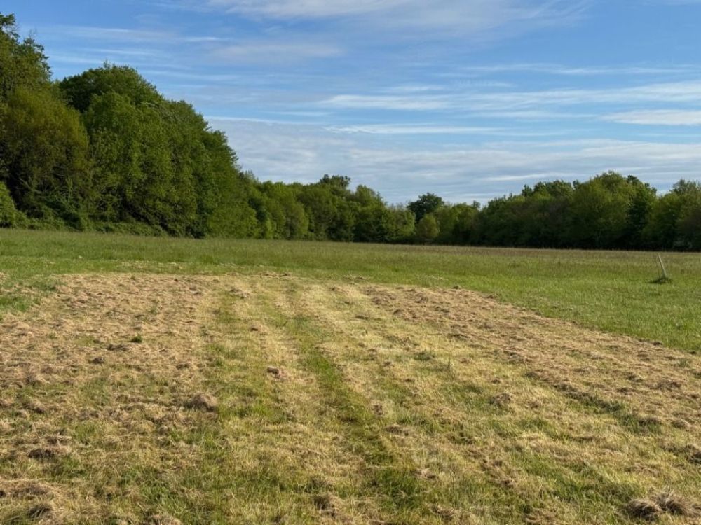   Saint-Germain-d'Esteuil (33340)