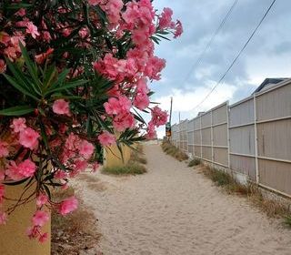 Location  Appartement 