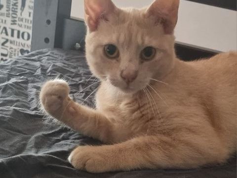 URBAN 210 27140 Gisors