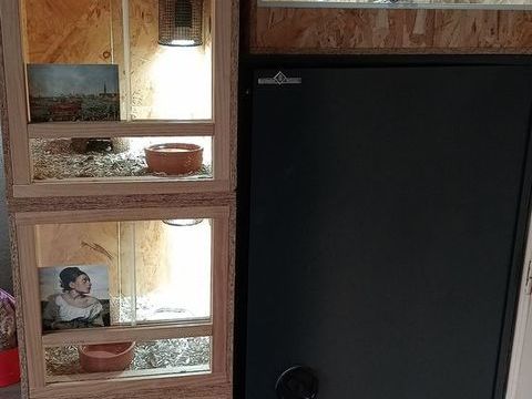 Ensembre serpents + terrarium 250 24260 Saint-flix-de-reillac-et-mortemart