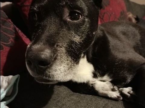 Crunch 330 59810 Lesquin