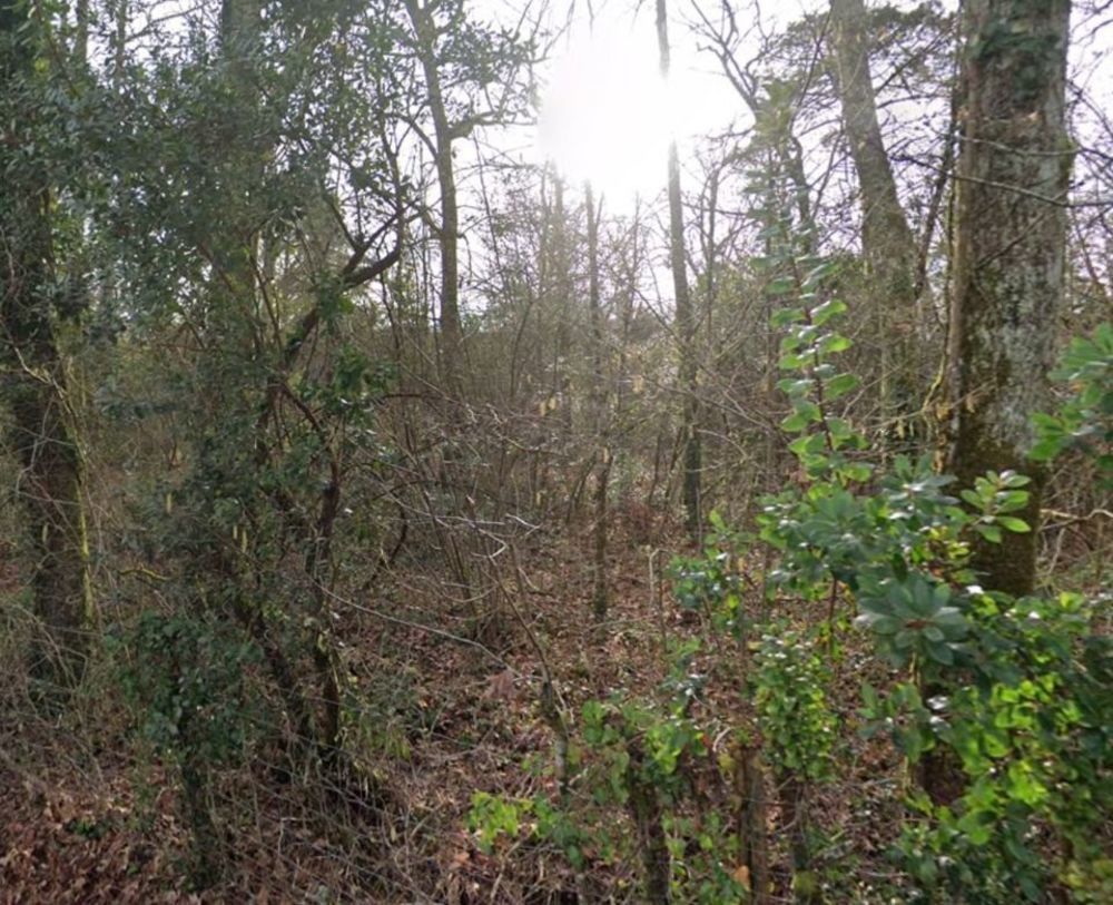 Maisons neuves   La Br�de (33650)