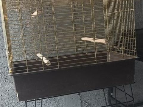 Jolie cage oiseaux 50 29380 Bannalec
