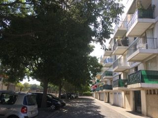  Appartement � louer 2 pi�ces 42 m�