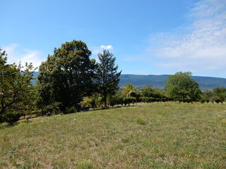  Terrain � vendre 2043 m�