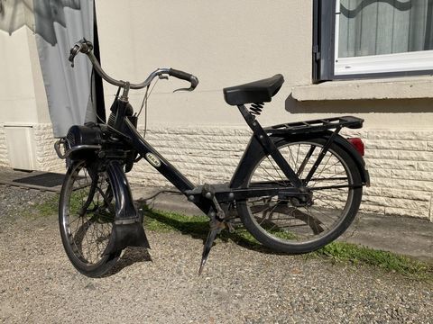 VELOSOLEX Cyclomoteur 1974 occasion B&egrave;gles 33130