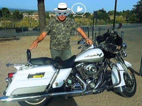 Moto HARLEY-DAVIDSON 2009 occasion Carcassonne 11000