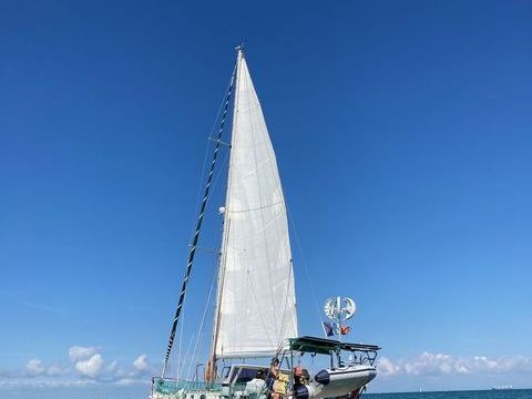 Voiliers D&eacute;riveur 1995 occasion La Rochelle 17000