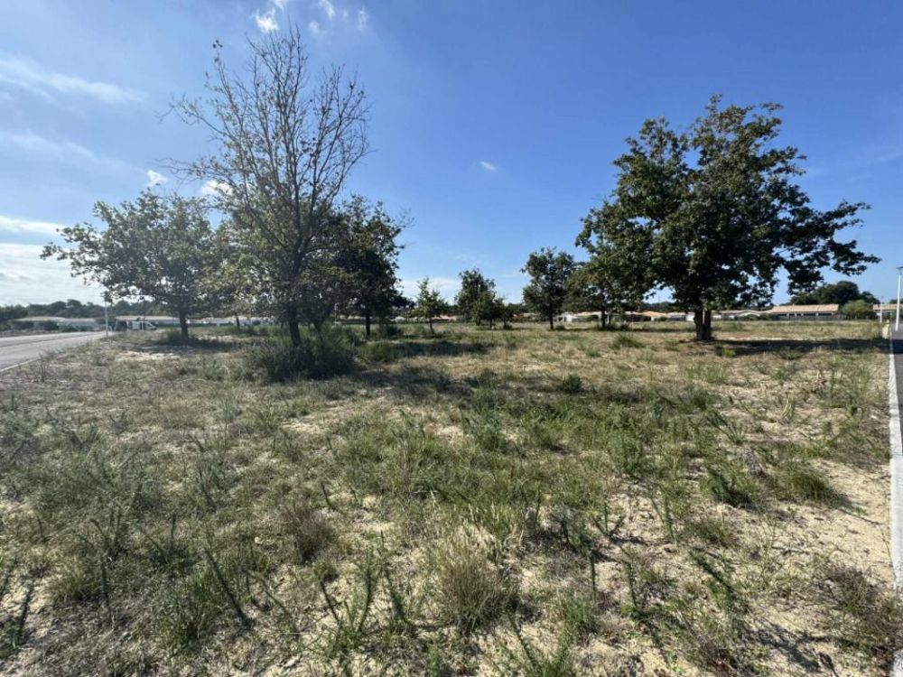 Maisons neuves   Vendays-Montalivet (33930)