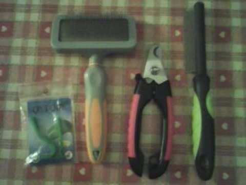 Lot accessoires toilettage / soin chat 10 69400 Villefranche-sur-sane