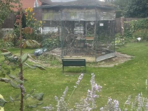 Canaris m&acirc;les  et femelles 20 59320 Sequedin