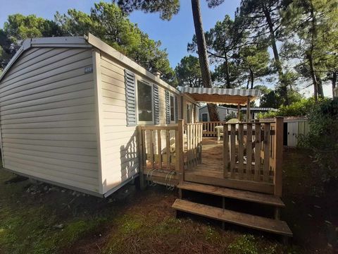 Mobil-Home Mobil-Home 2015 occasion La Palmyre 17570