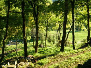  Terrain � louer 30000 m�