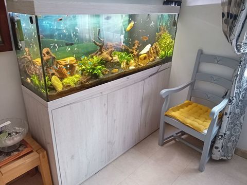 Magnifique aquarium 360 litres 1100 13400 Aubagne