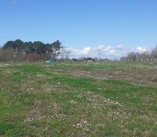  Terrain � louer 8531 m�