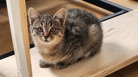 ATLAS 100 27640 Breuilpont