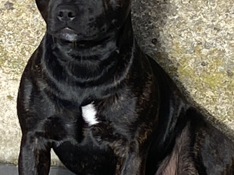 Saillie 200 72000 Le mans