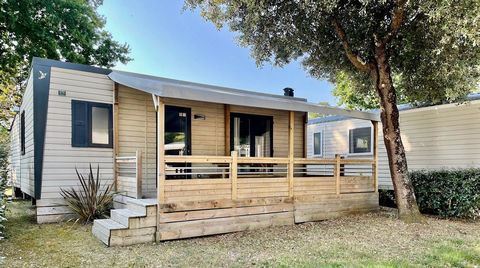 Mobil-Home Mobil-Home 2022 occasion Pontivy 56300