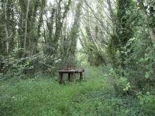  Terrain � louer 500 m�