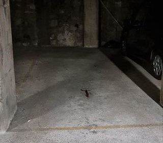  Parking / Garage � louer 3 m�
