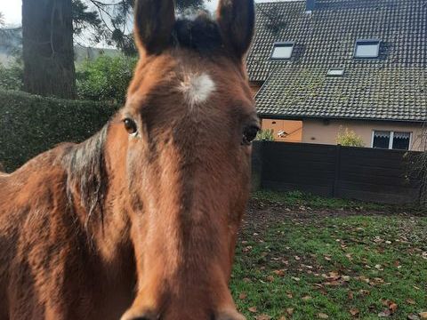 Urgent 0 68290 Masevaux