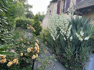  Appartement � louer 1 pi�ce 23 m�