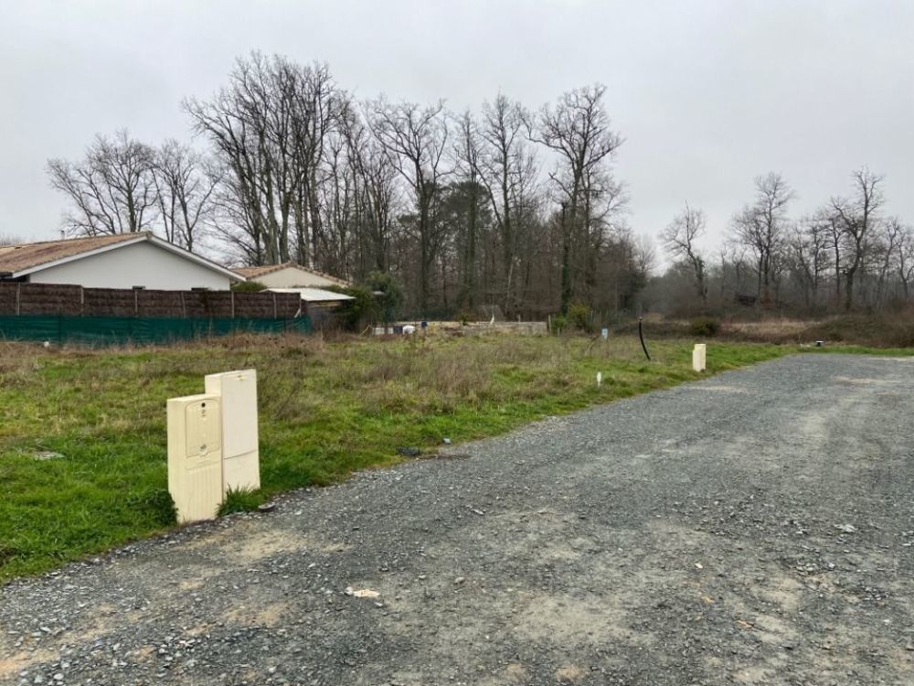 Maisons neuves   Les Billaux (33500)